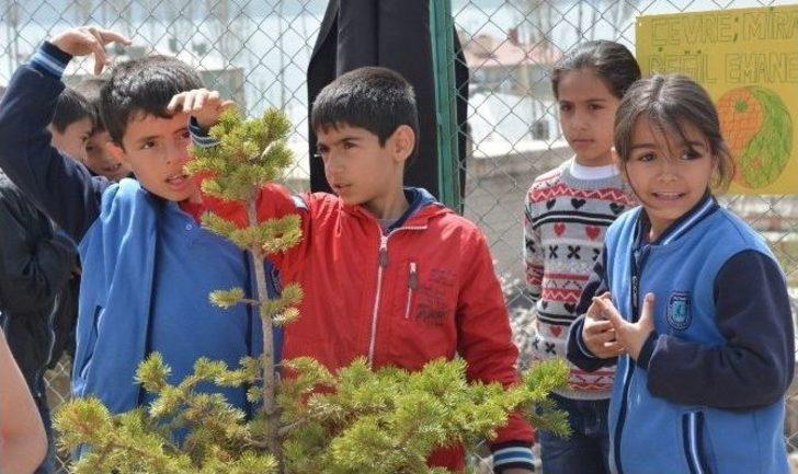 Tatvan’da Fidan Dikim Etkinliği G2