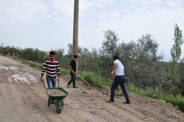 Avcılar Mahallesi’nde Yol Düzenlemesi Yapılıyor