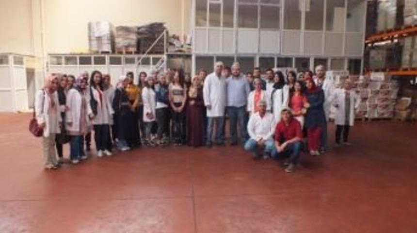 Myo &Ouml;ğrencilerine Teknik Gezi D&uuml;zenlendi