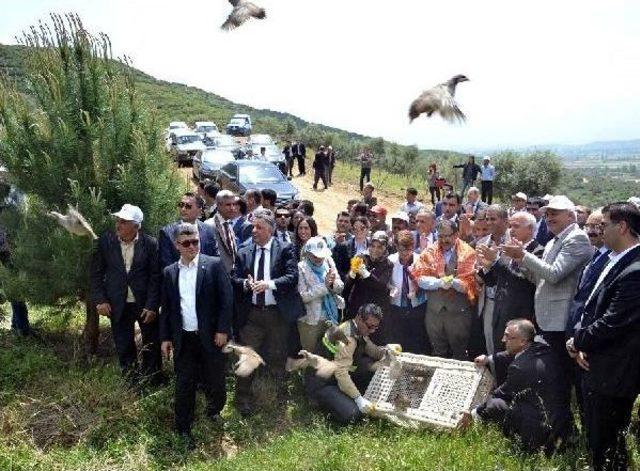 Bakan Eroğlu, Körüklü Çizmeyle Sahaya Indi (2)