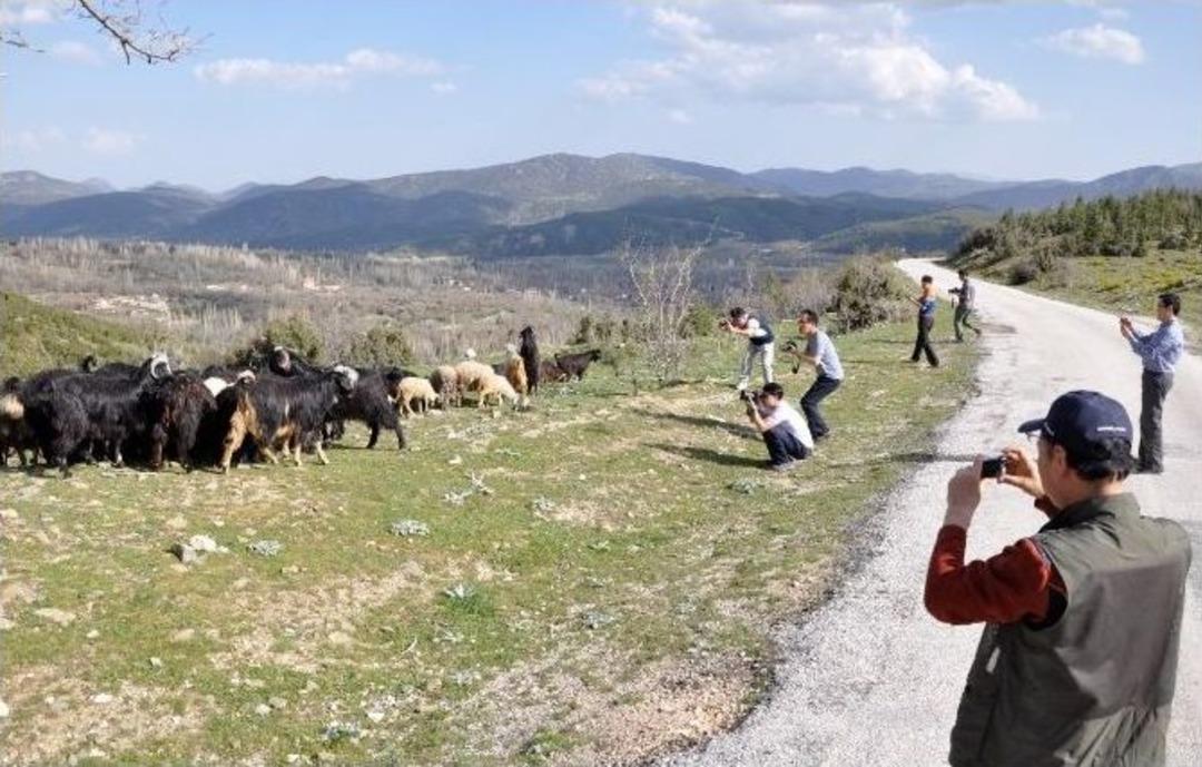 G&uuml;ney Koreli Turist Hedefine Y&ouml;nelik Tanıtım