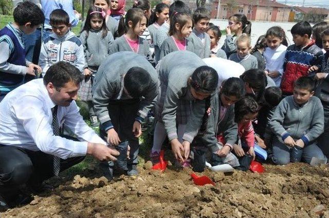 Kütahya’da ’öğrencilerle Eğlenceli Tohum Ekimi’ Etkinliği