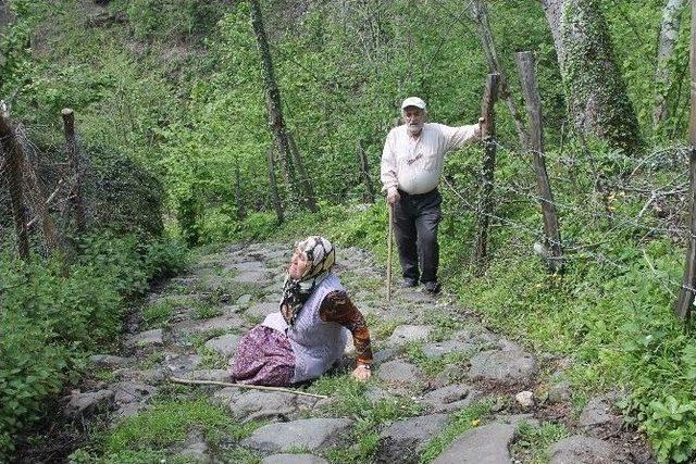 Yaşlı Çiftin Yol İsteği