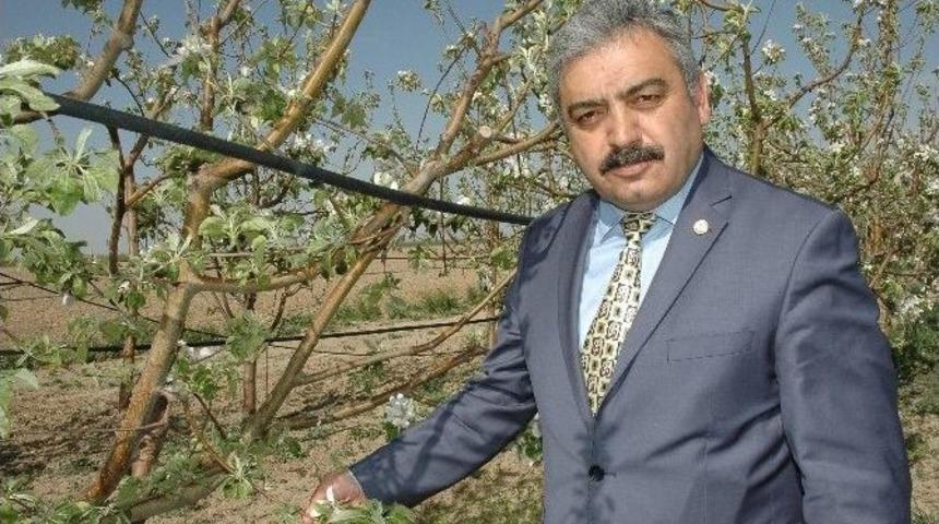 Elmayı Nisan Ayında Don Vurdu