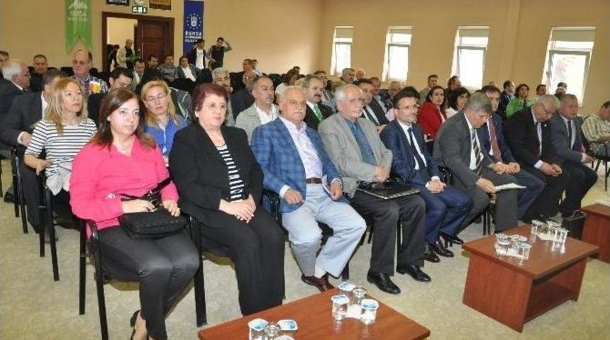 Bursa Sahilleri Hayat Buluyor