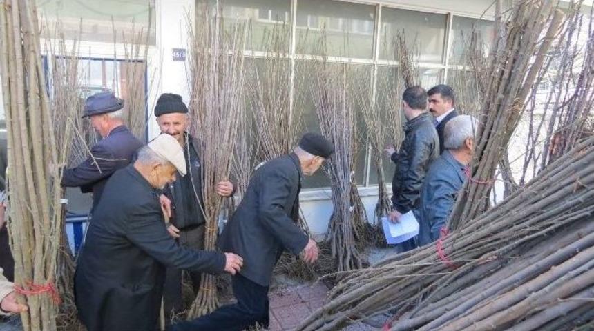 K&uuml;re Sosyal Yardımlaşma Ve Dayanışma Vakfından Vatandaşlara Fidan Desteği