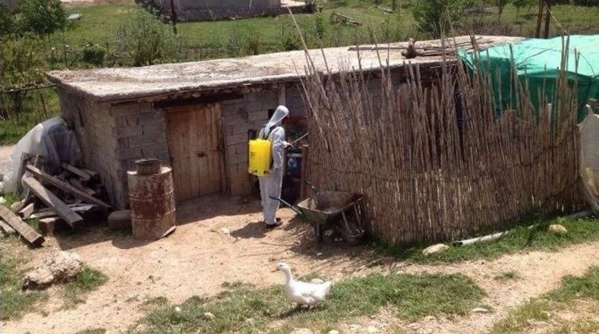 Silopi Kaymakamlığı K&ouml;ylerde İla&ccedil;lama &Ccedil;alışması Başlattı