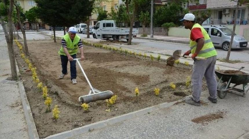 Yunusemre Belediyesi Saha &Ccedil;alışmasına Başladı