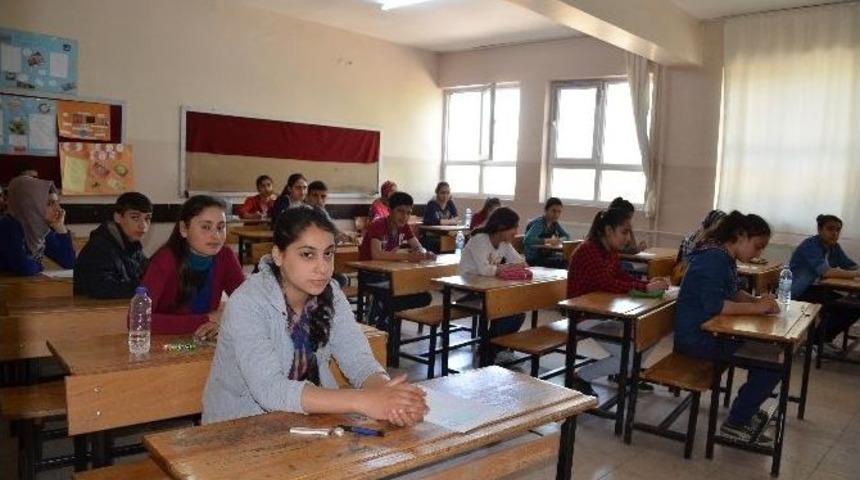 Siverek&rsquo;te Teog Sınavı Yapıldı