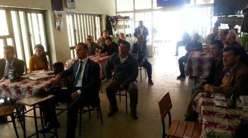 S&ouml;ke Belediyesi&rsquo;nden Sivrisinek Semineri