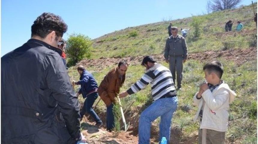 Malatya Devlet Hastanesi&rsquo;nden Fidan Dikimi