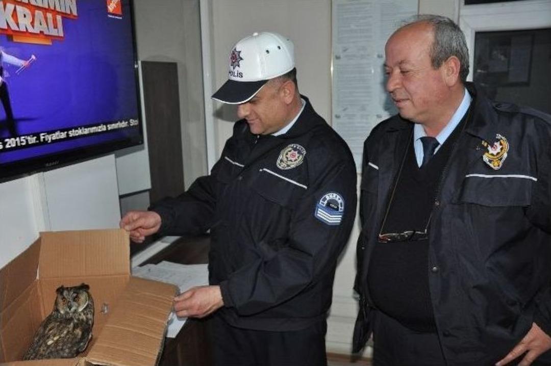 Yaralı Baykuş&rsquo;a Polis Şefkati