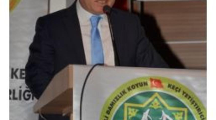 Hıdırellez&rsquo;de Kuzu Etiyle Beslen Sağlıklı Yaşa