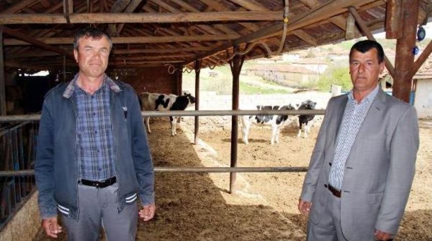 İneklerin Borcunu &Ouml;deyemeyen K&ouml;yl&uuml; Icralık Oldu