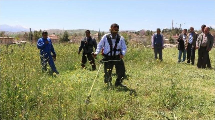 Ak Parti Adayı Samani, Temizlik İşçilerine Yardım İçin Ot Biçti