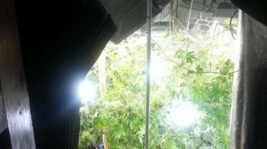 Uyuşturucu Tiryakilerinin D&uuml;zeneği Jandarmayı Bile Şok Etti