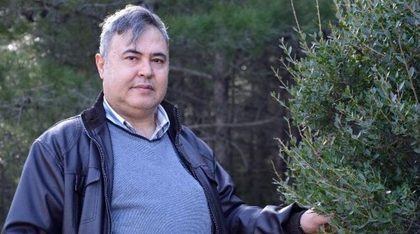 &rsquo;ege Lokman&rsquo;dan Strese Ve Uykusuzluğa Karşı &Ouml;neriler