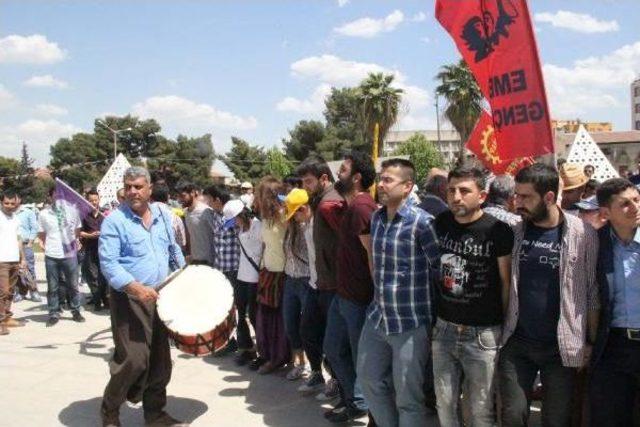 Şanlıurfa’Da Davul-Zurnalı 1 Mayıs Kutlaması