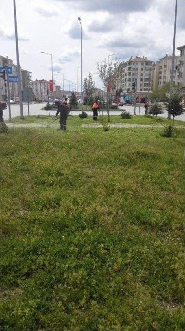 Sungurlu &Ccedil;i&ccedil;eklerle Donatıldı 1