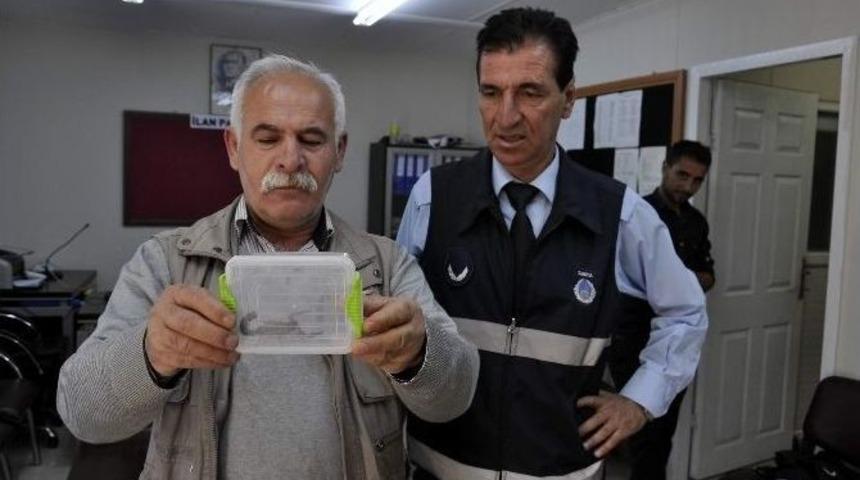 Evini Basan Akrepler İ&ccedil;in Belediyeden Yardım İstedi