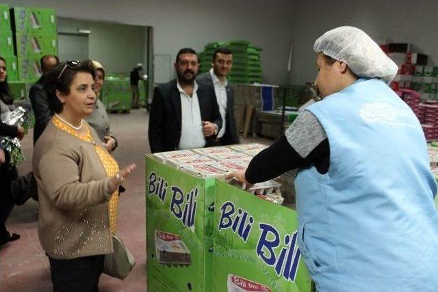 Ak Parti Milletvekili Adayı Sıvacı 