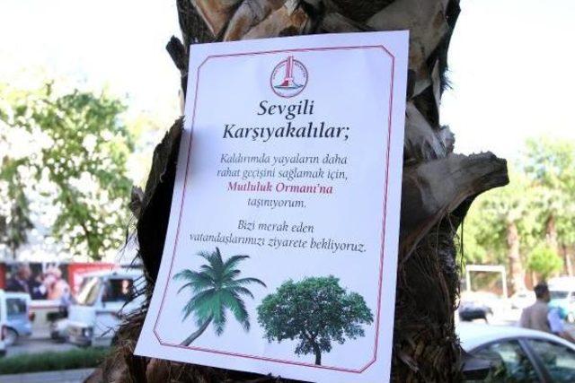 Ağaçlar 'dile Geldi'