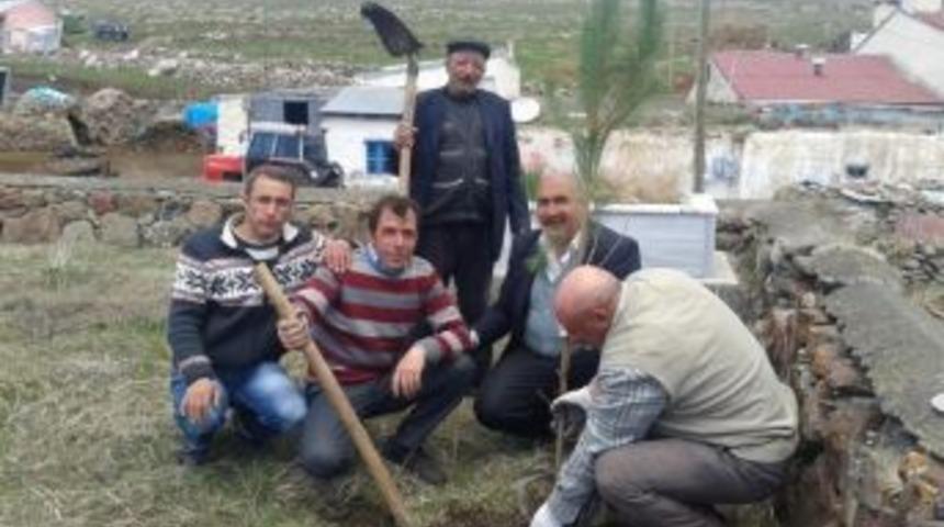 Belediye&rsquo;den Ağa&ccedil;landırma &Ccedil;alışması