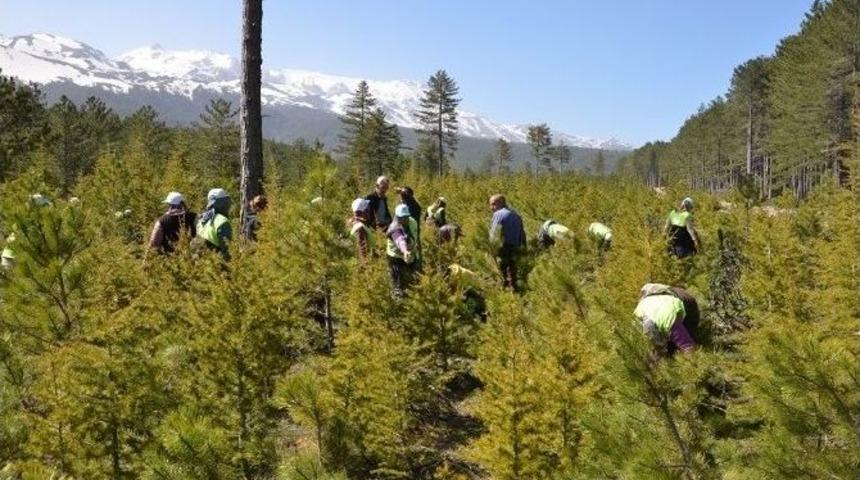 Toplum Yararına &Ccedil;alışma Programı, İşsizlere Umut Oldu
