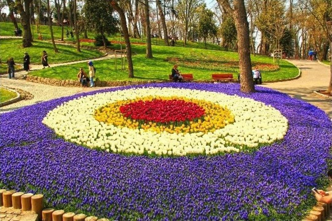 Festivalden Geriye Kalanlar