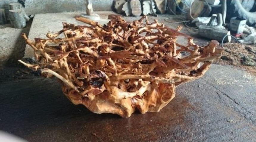 Ağa&ccedil; K&ouml;kleri Gazetecinin Elleriyle Yeniden Hayat Buluyor