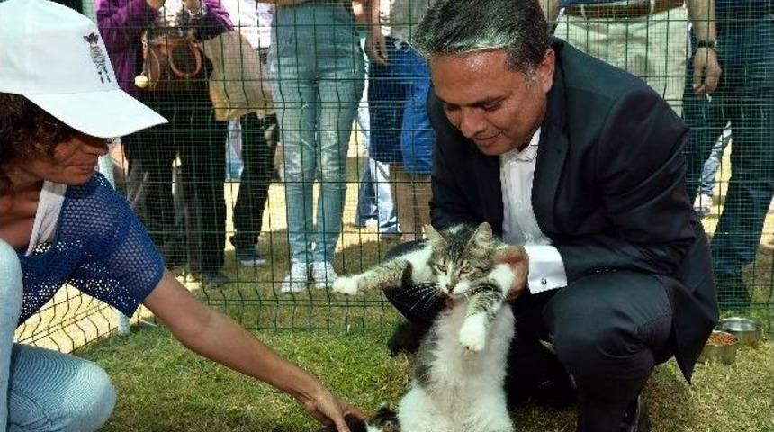 T&uuml;rkiye&rsquo;de İlk Kez D&uuml;zenleniyor