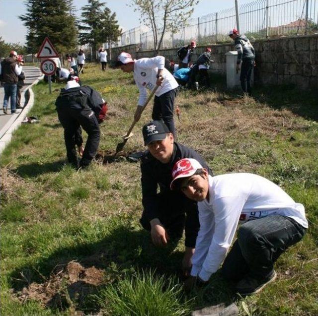 Kardeşlik Destanının 100. Yılında 100 Fidan İle El Ele’ Projesi