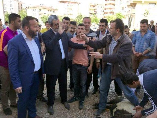 Fadıl Akgündüz, Halaylarla Seçim Bürosu Açtı 3