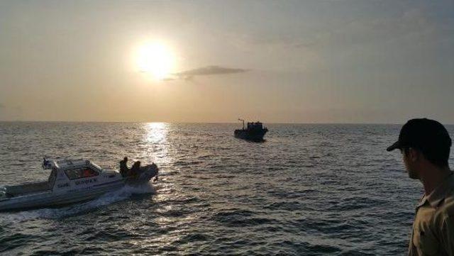 Mersin de 171 Kaçak Kurtarıldı 1