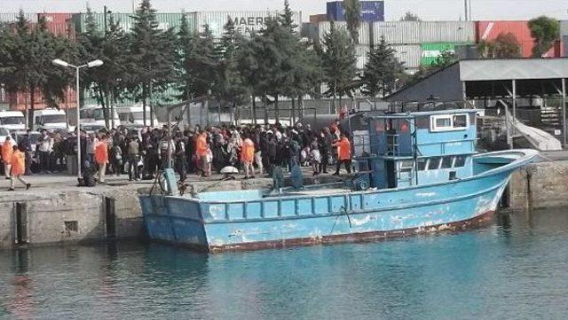 Mersin de 171 Kaçak Kurtarıldı 2