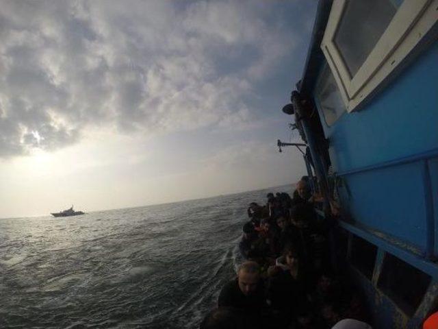 Mersin de 171 Kaçak Kurtarıldı 3