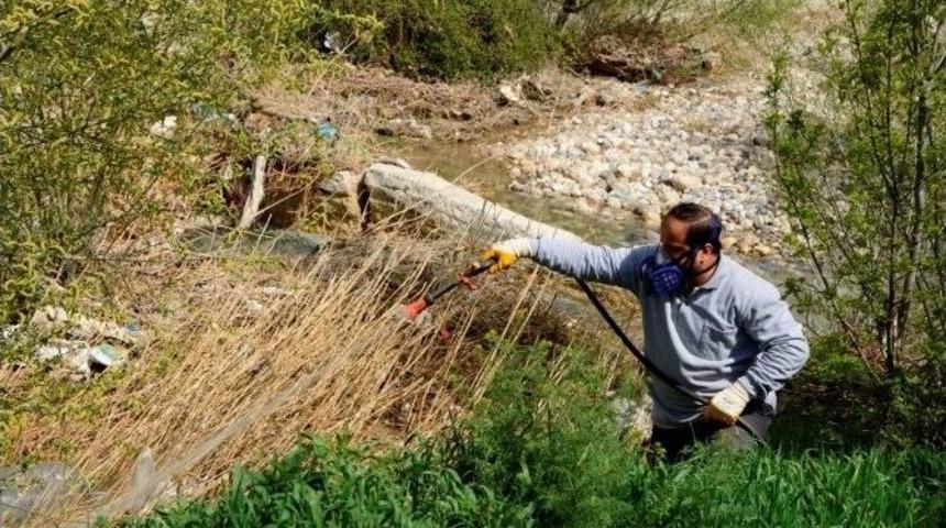 Meram&rsquo;da Haşereyle M&uuml;cadele Başladı