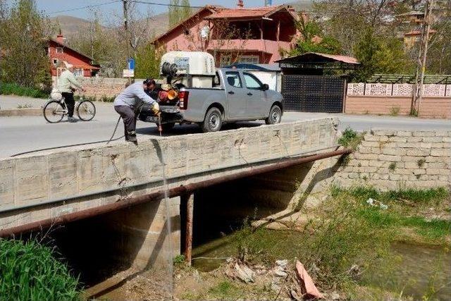 Meram’da Haşereyle Mücadele Başladı