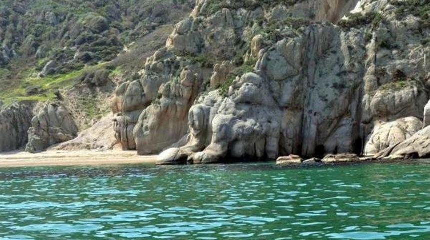 Karabiga'da Akdeniz Foklarına Yakın Takip