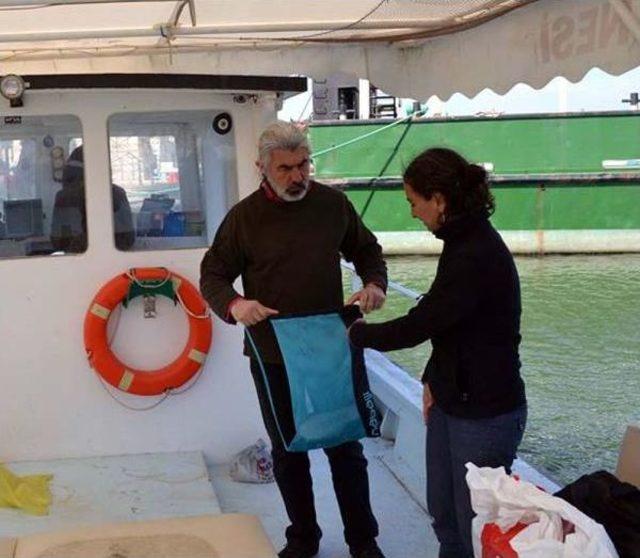 Karabiga da Akdeniz Foklarına Yakın Takip 1