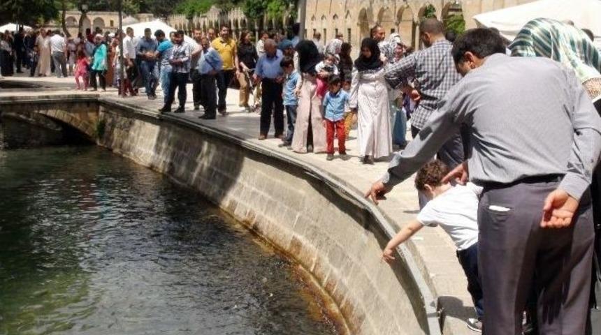 Balıklıg&ouml;l&rsquo;e Turist Akını