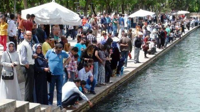 Balıklıgöl’e Turist Akını