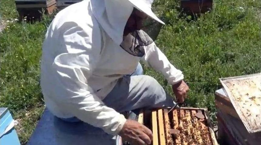 Sincik Balı Lezzetini Geven &Ccedil;i&ccedil;eğinden Alıyor