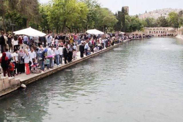 Balıklıg&ouml;l e Ziyaret&ccedil;i Akını 1