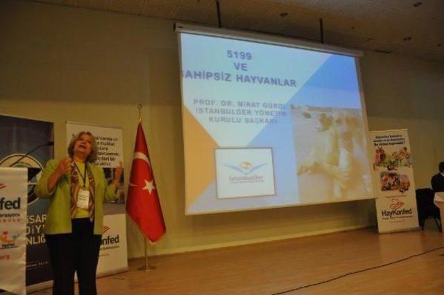 Hayvan Hakları Trabzon da Masaya Yatırıldı 2