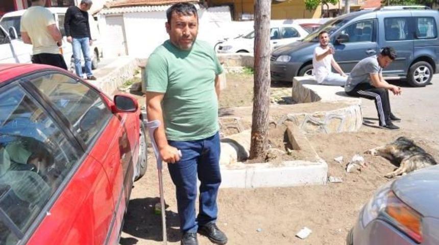 Zehirli Gıdayla K&ouml;pek Itlafı