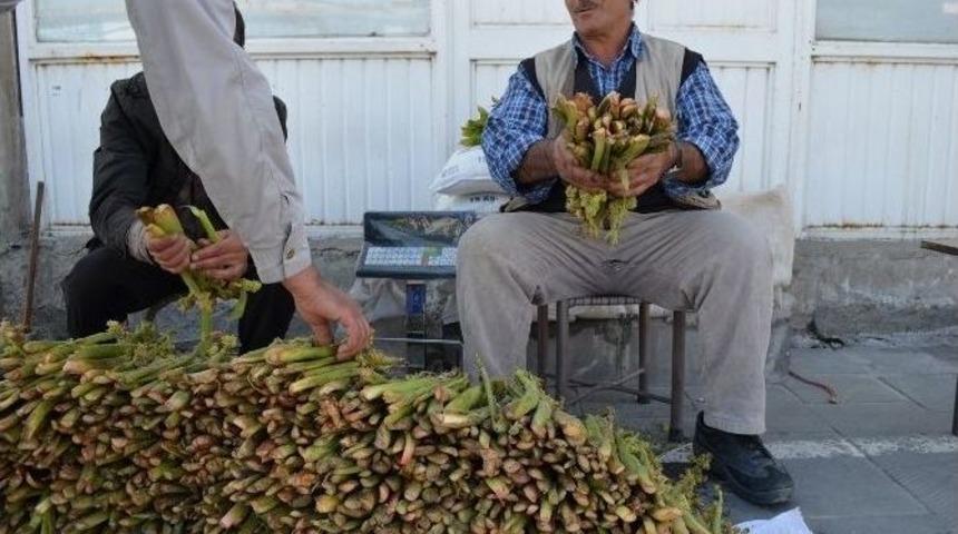 &lsquo;yayla Muzu&rsquo; Tezgahlardaki Yerini Aldı