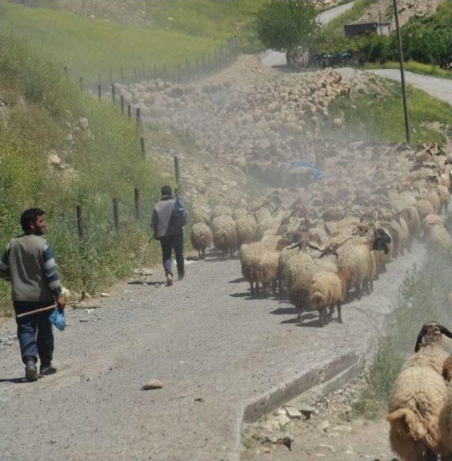 G&ouml;&ccedil;erlerin Zorlu Yolculuğu Başladı 3