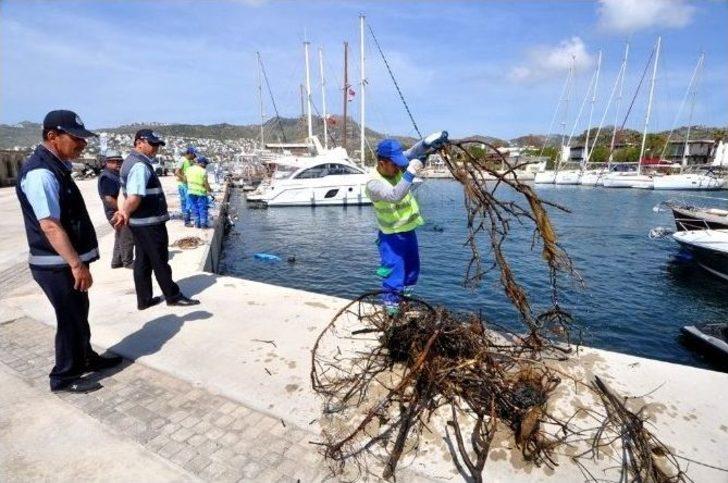 Bodrum’da Deniz Dibi Temizliği Ortakent-yahşi’de Devam Etti G5