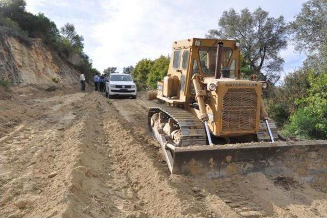 Ağaç Keserek Yol Açan Enerji Firmasına Belediye Engeli